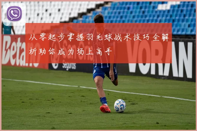 从零起步掌握羽毛球战术技巧全解析助你成为场上高手