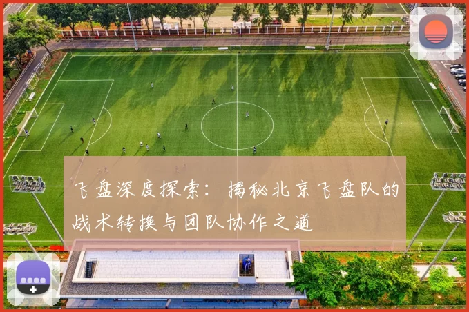 飞盘深度探索：揭秘北京飞盘队的战术转换与团队协作之道