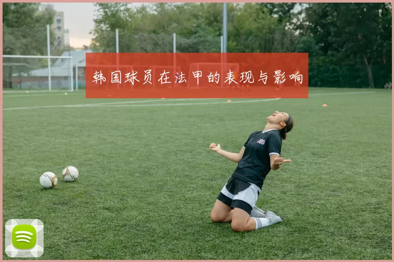 韩国球员在法甲的表现与影响