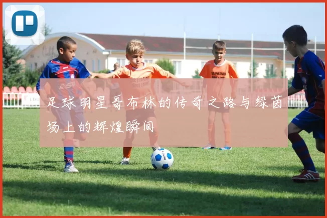 足球明星哥布林的传奇之路与绿茵场上的辉煌瞬间
