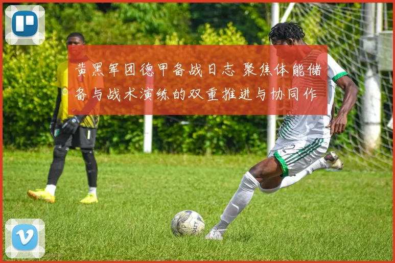 黄黑军团德甲备战日志 聚焦体能储备与战术演练的双重推进与协同作战