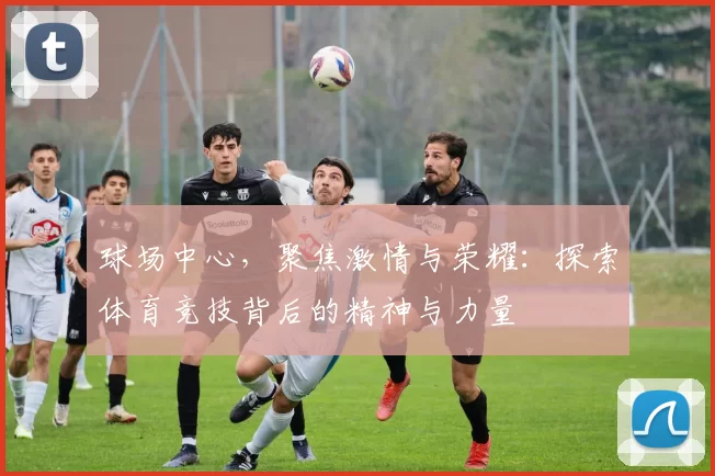 球场中心，聚焦激情与荣耀：探索体育竞技背后的精神与力量