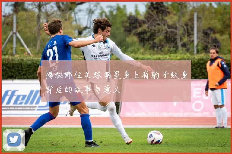 揭秘哪位足球明星身上有豹子纹身背后的故事与意义