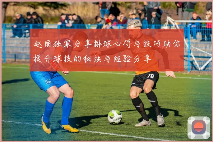 赵丽独家分享排球心得与技巧助你提升球技的秘诀与经验分享