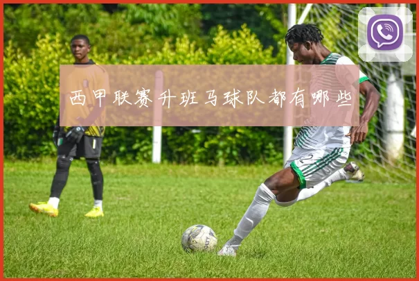 西甲联赛升班马球队都有哪些