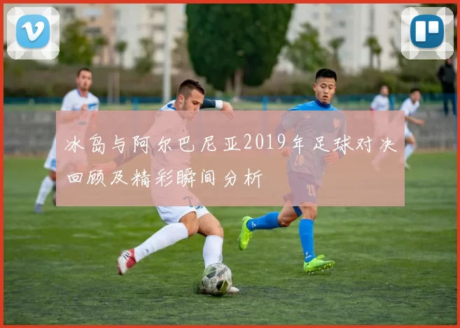 冰岛与阿尔巴尼亚2019年足球对决回顾及精彩瞬间分析