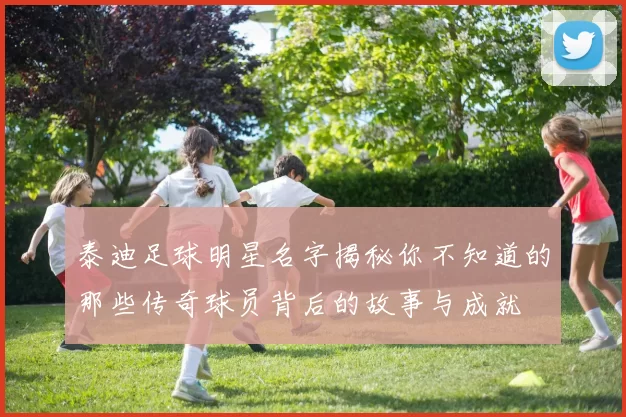 泰迪足球明星名字揭秘你不知道的那些传奇球员背后的故事与成就