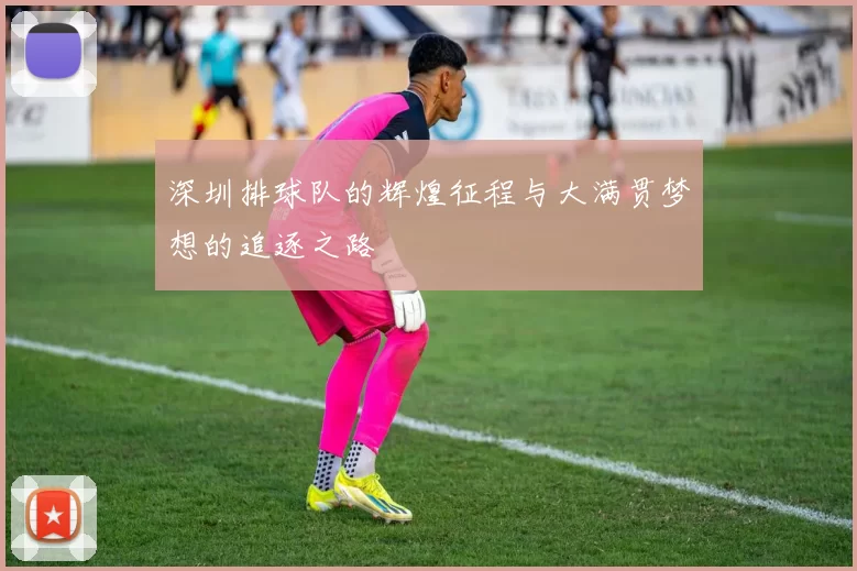 深圳排球队的辉煌征程与大满贯梦想的追逐之路