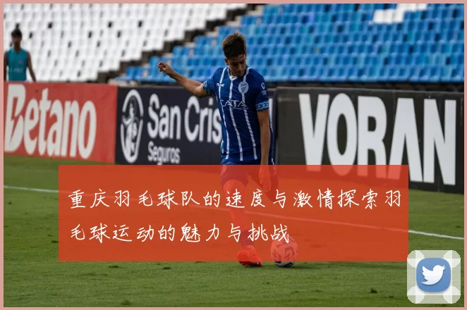 重庆羽毛球队的速度与激情探索羽毛球运动的魅力与挑战