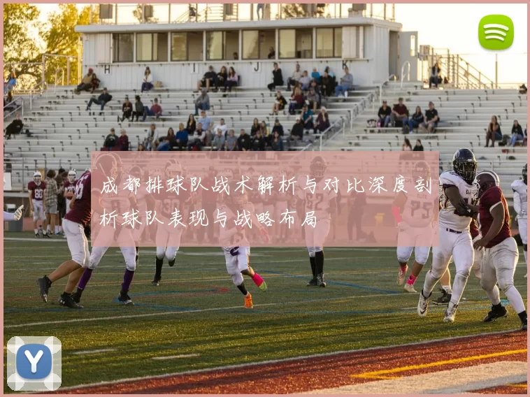 成都排球队战术解析与对比深度剖析球队表现与战略布局