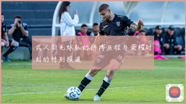武汉羽毛球队的拼搏历程与荣耀时刻的特别报道
