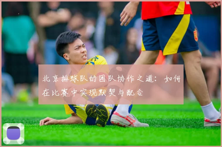 北京排球队的团队协作之道：如何在比赛中实现默契与配合