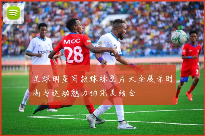 足球明星同款球袜图片大全展示时尚与运动魅力的完美结合