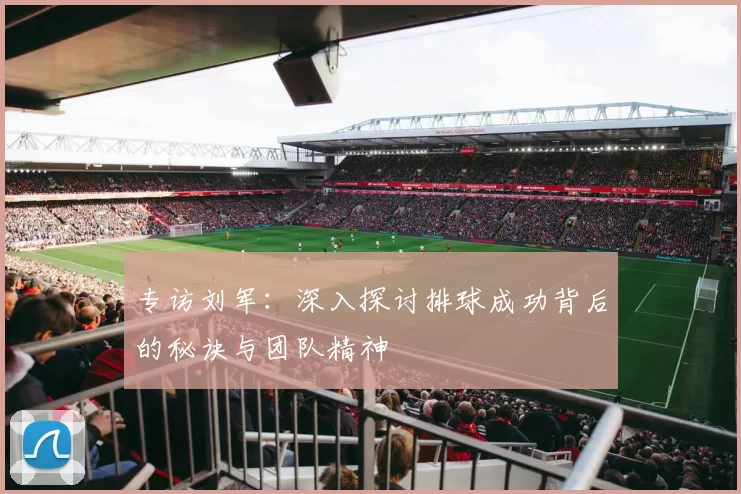 专访刘军：深入探讨排球成功背后的秘诀与团队精神