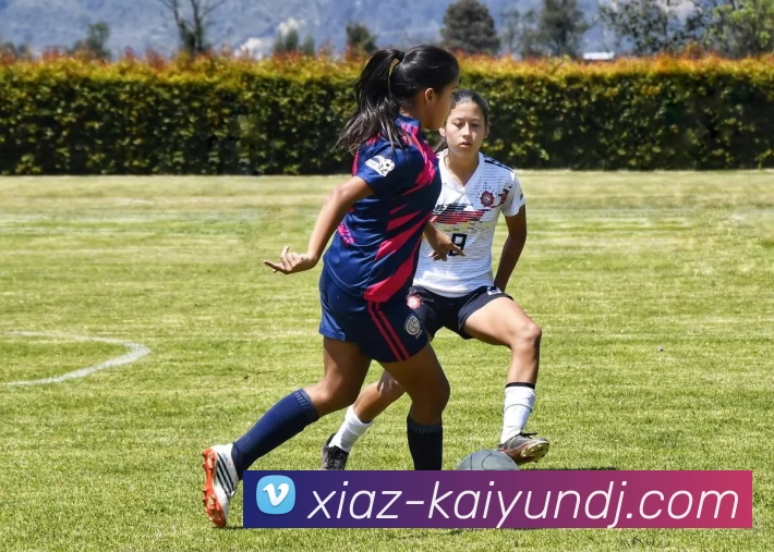 开云下载发展历程